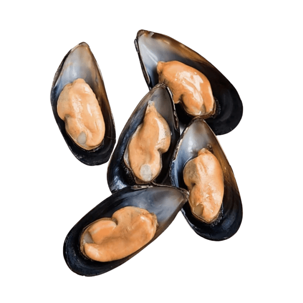 Black mussels
