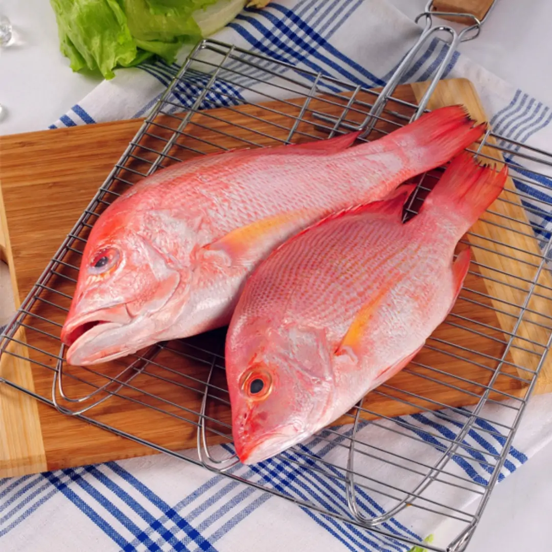 Red snapper whole