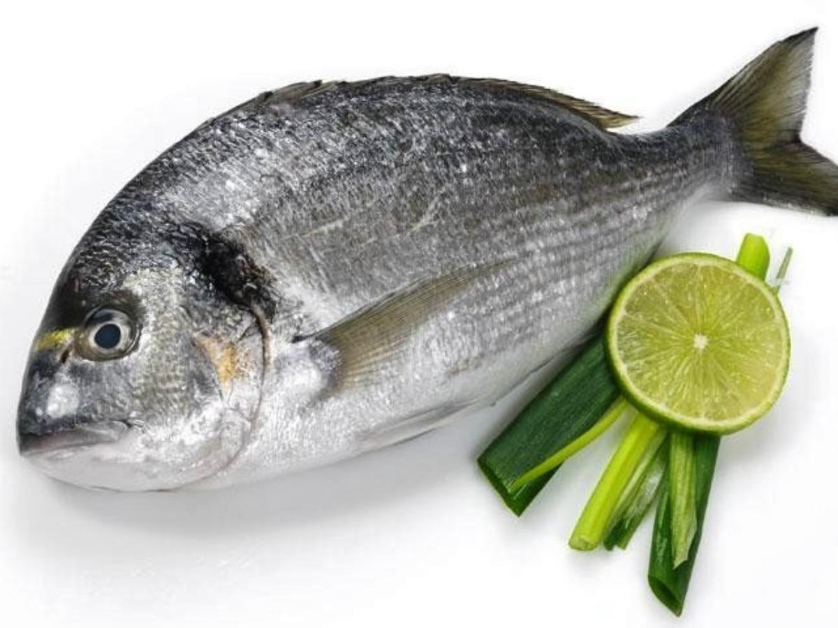 Seabream whole