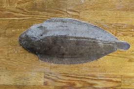 Dover sole