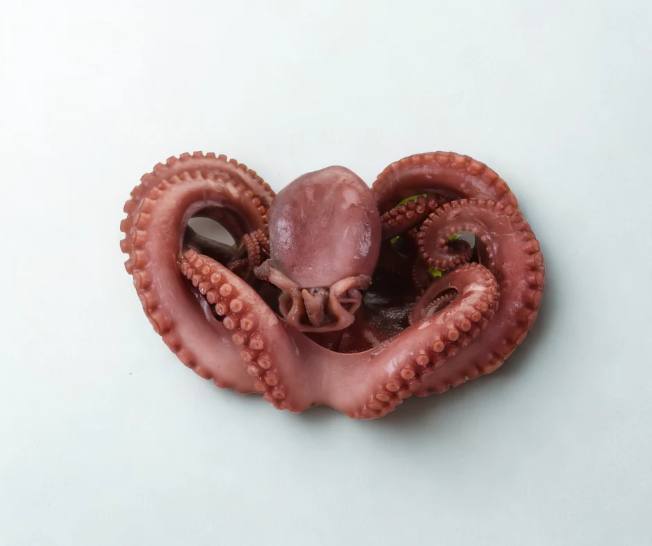 Tako octopus boiled