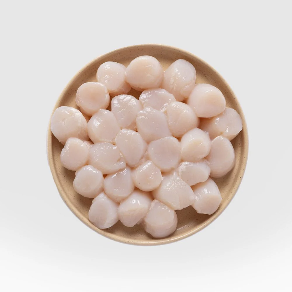 Scallop meat