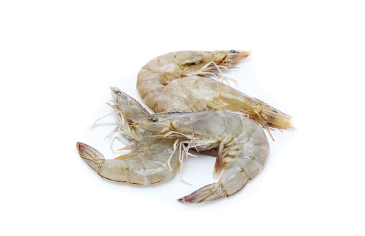 Shrimps h/on white