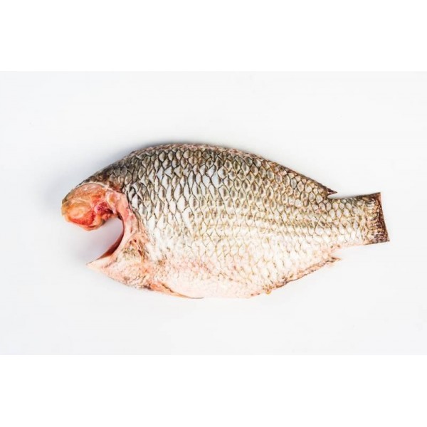 Tilapia cleaned